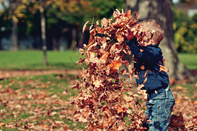 Self Control and Young Children