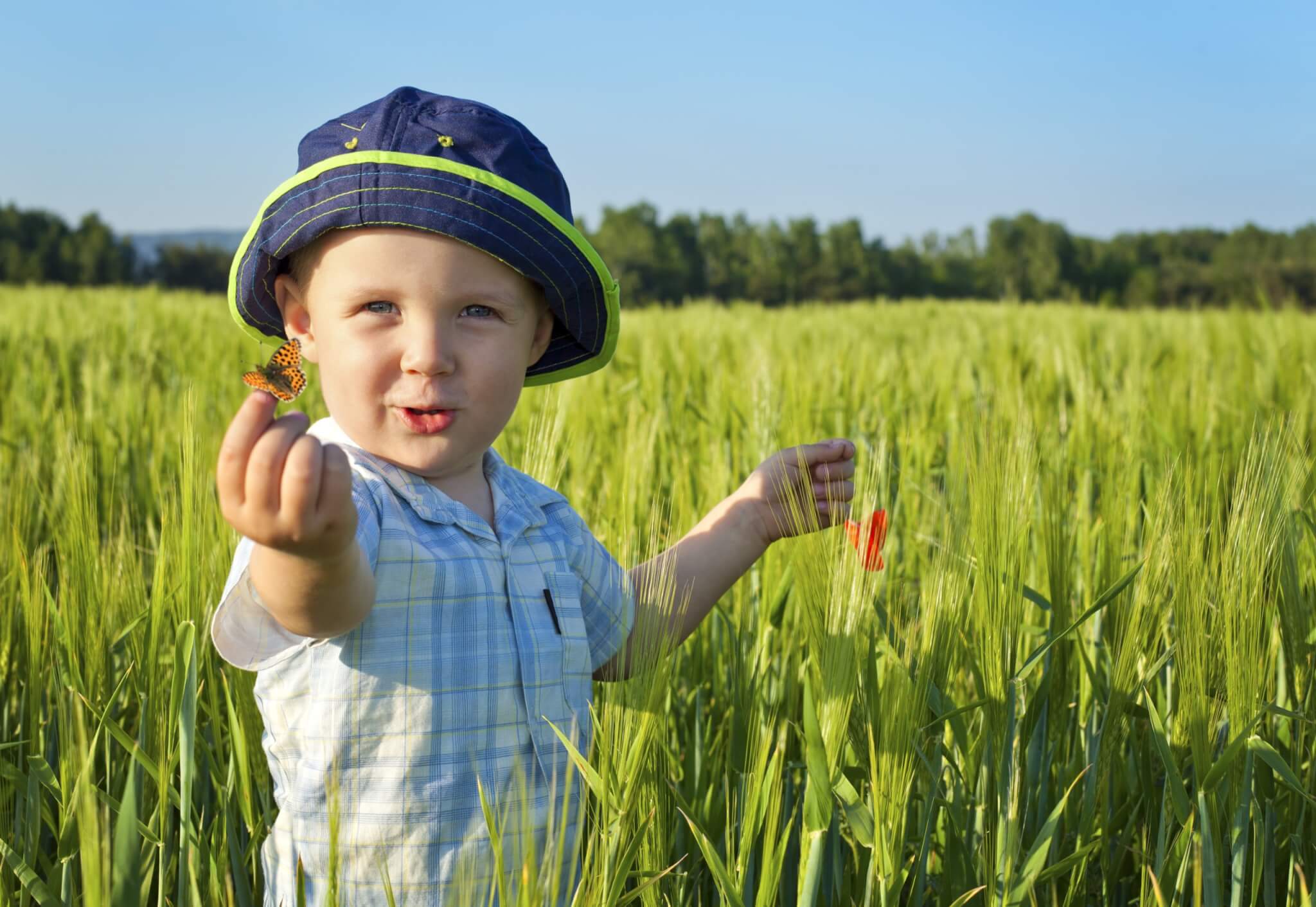 How Many Words Does The Average 3 Year Old Know