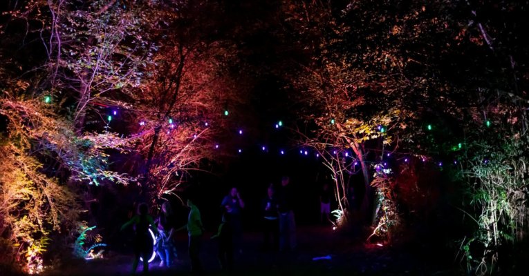 Flow Tuscaloosa Lantern Parade