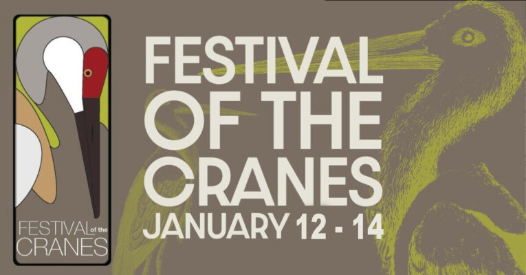 Festival of Cranes