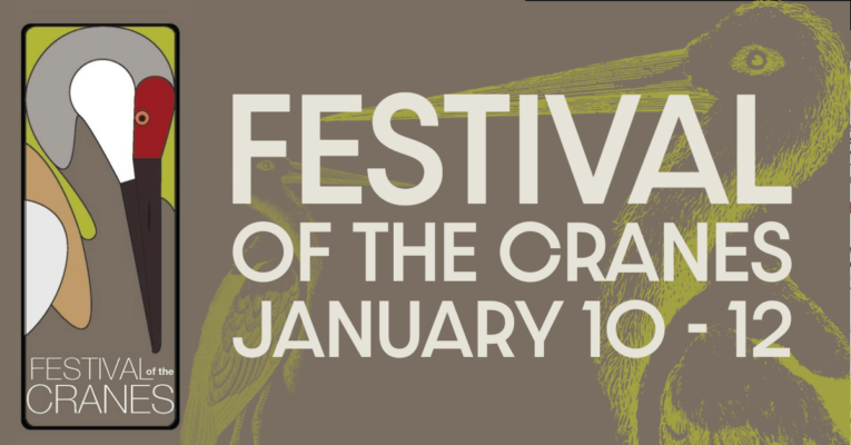 Festival of Cranes