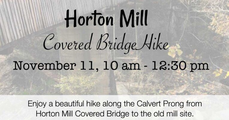 Horton Mill Covered Bridge Hike