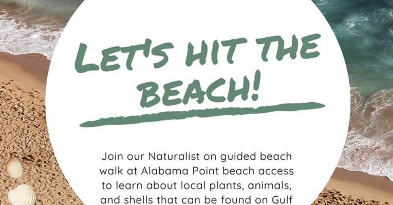 Guided Beach Walk at Alabama Point