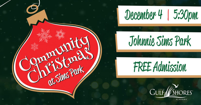 Community Christmas at Sims Park and Snowball Drop