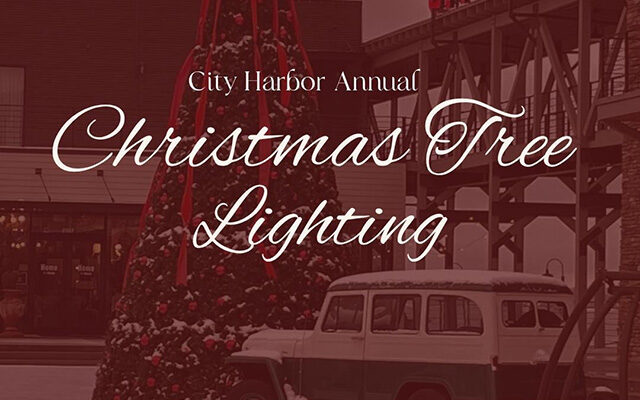 Lake Guntersville Christmas Tree Lighting