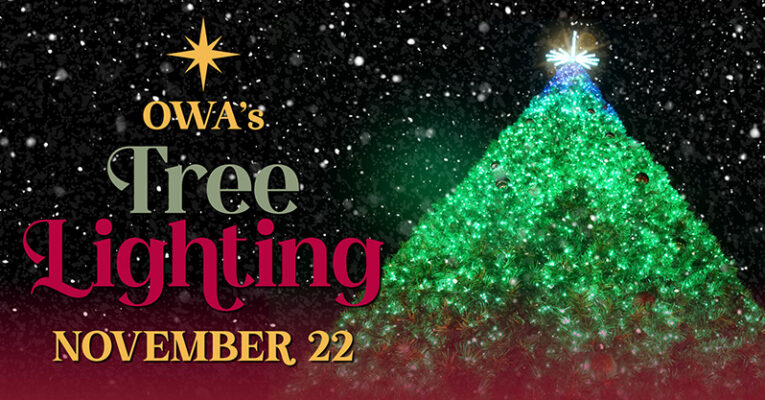 Christmas Tree Lighting and Holiday Events